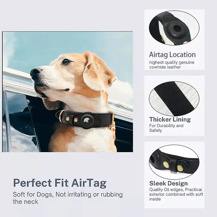 Hundhalsband med airtag-hållare, personlig gravyr